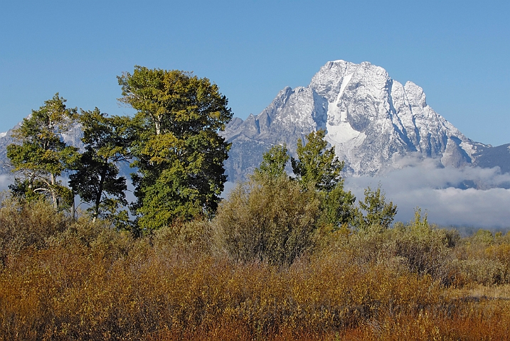 WAH004416.jpg - Grand Teton National Park