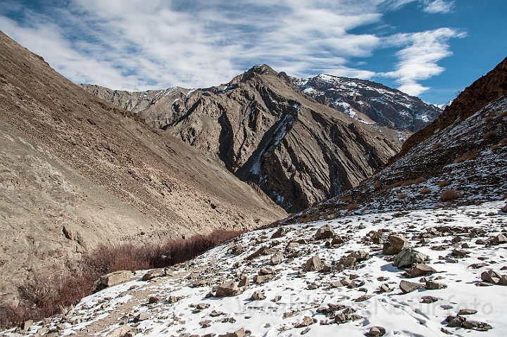 WAH027600.jpg - Hemi National Park, Ladakh, Jammu Kashmir