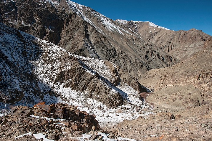 WAH027606.jpg - Hemi National Park, Ladakh, Jammu Kashmir