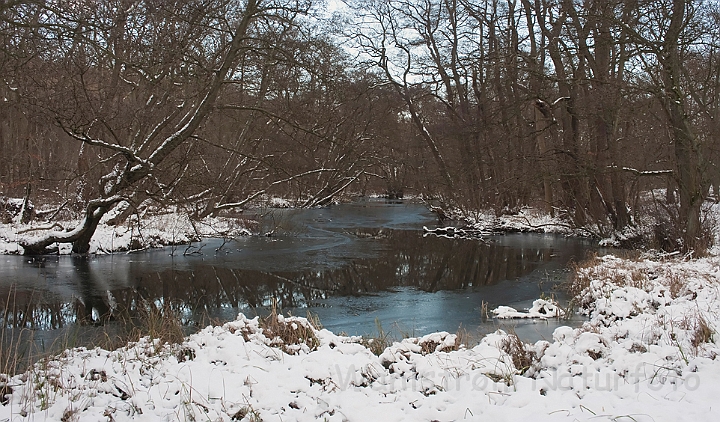 WAH011581.jpg - Mølleåen ved vintertide (Mølleåen at wintertime)