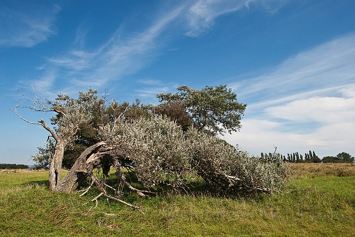 WAH020197.jpg - Landskab fra Enehøje (Landscape from Enehøje)