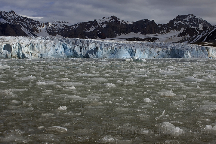 WAH005903P.jpg -  Gletcher (Glacier) Svalbard